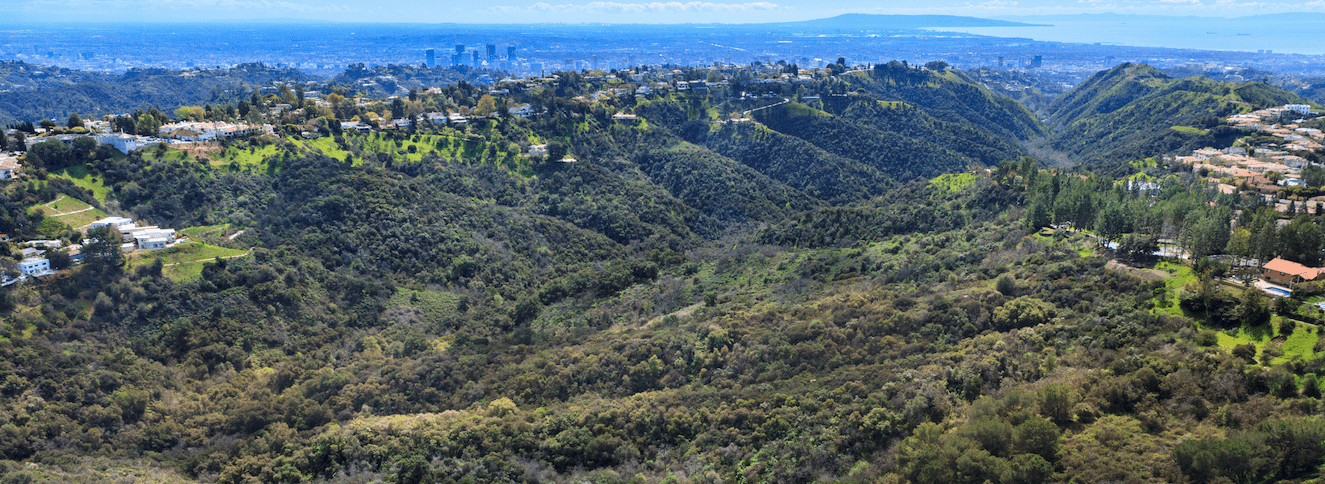 The Most Monumental Development Opportunity In Los Angeles